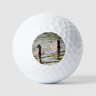 Ganzen Golfballen