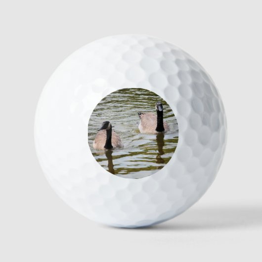 Ganzen Golfballen (Voorkant)