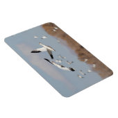 ganzen in de Boskeskies Magneet (Rechterzijde)