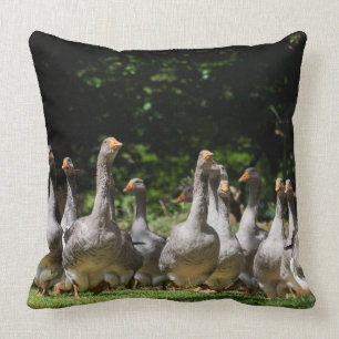 Ganzen in de Dordogne gooien kussen