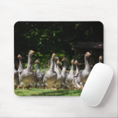 Ganzen in de Dordogne mousepad Muismat (Met muis)