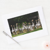 Ganzen in de Dordogne rechthoekige sticker (Envelop)