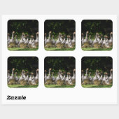 Ganzen in de Dordogne sticker (Vel)