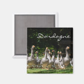 Ganzen in de Dordogne tekstmagneet Magneet (Voorkant / Achterkant)