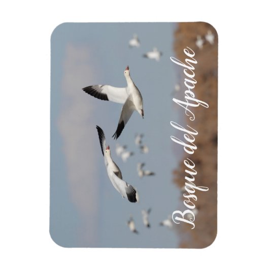 ganzen in de skies van Bosque del Apache Magneet (Verticaal)