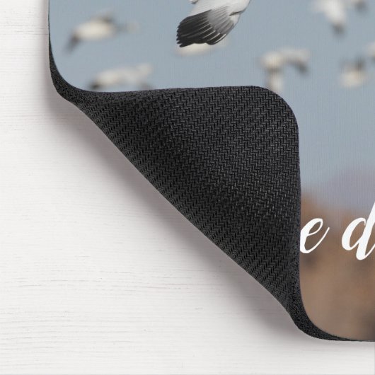 ganzen in de skies van Bosque del Apache Muismat (Hoek)