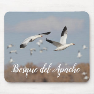 ganzen in de skies van Bosque del Apache Muismat