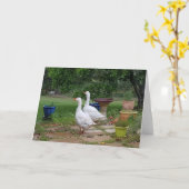 Ganzen in de tuin - Blank Kaart (Gele Bloem)