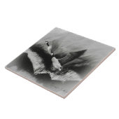 Ganzen in de vuist tegeltje (Zijkant)