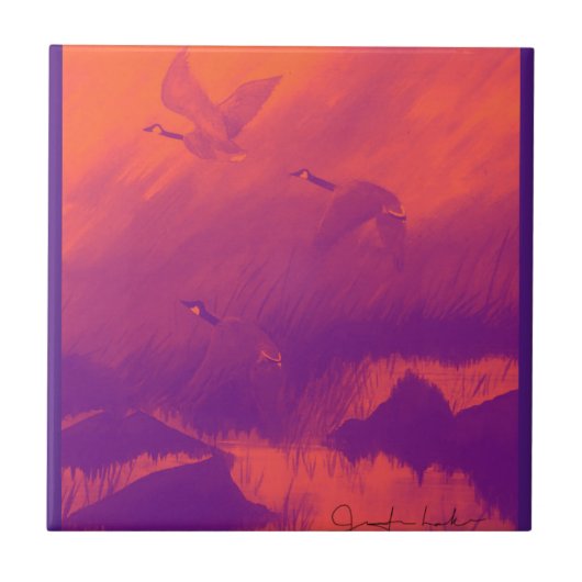 ganzen in het Oranje en Paars Tegeltje (Voorkant)