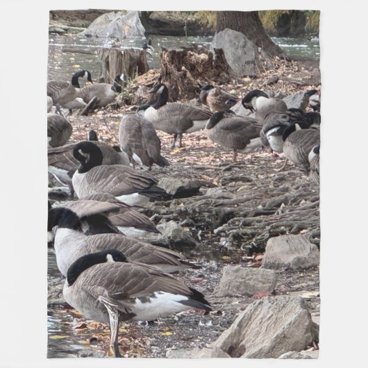 Ganzen in het park fleece deken (Voorkant)