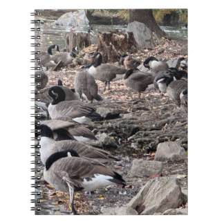Ganzen in het Park Notitieboek