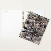 Ganzen in het Park Planner (Display)