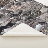 Ganzen in het Park Sherpa Deken (3/4)