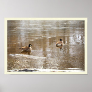  Ganzen in Icy Creek Poster