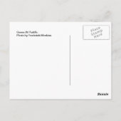 ganzen in puddle briefkaart (Achterkant)