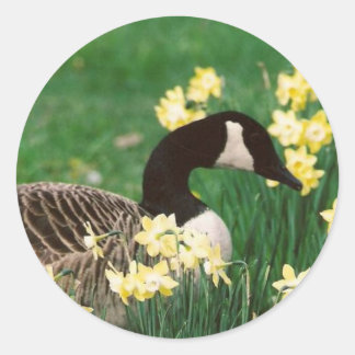 GANZEN MET DOFFELS RONDE STICKER
