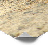 Ganzen met Goslings Poster (Hoek)