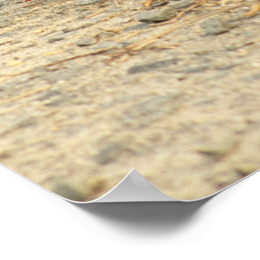 Ganzen met Goslings Poster (Hoek)