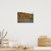 Ganzen met herfstbomen poster (Keuken)