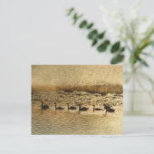 Ganzen op Golden Pond Briefkaart (Staand voorkant)
