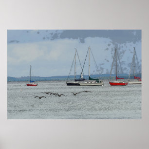 Ganzen op Grand Traverse Bay Poster