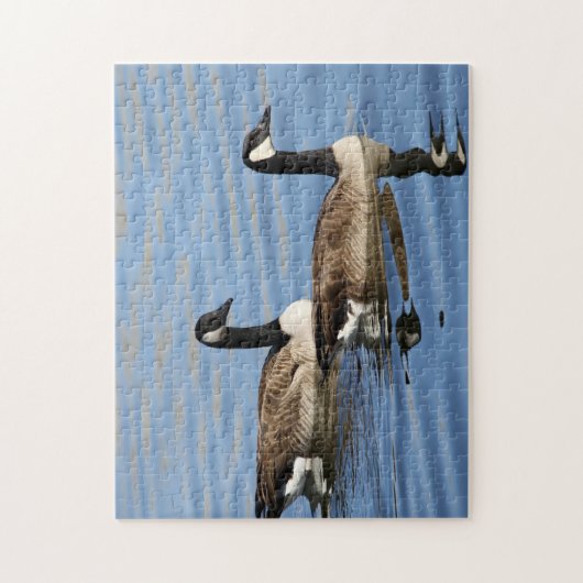 Ganzen op water legpuzzel (Verticaal)