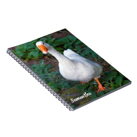 Ganzen Spiraal notebook Notitieboek (Rechterzijde)