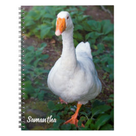 Ganzen Spiraal notebook Notitieboek