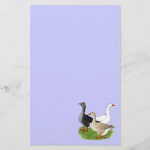 Ganzen: Tufted Trio Briefpapier