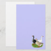 Ganzen: Tufted Trio Briefpapier (Voorkant / Achterkant)