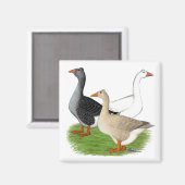 Ganzen: Tufted Trio Magneet (Voorkant / Achterkant)