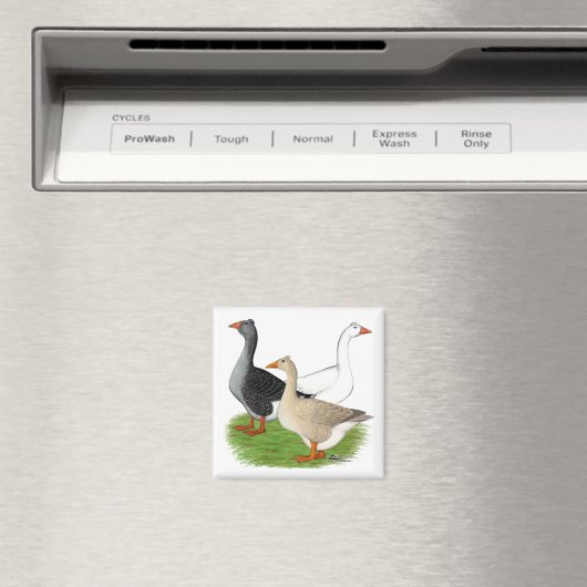 Ganzen: Tufted Trio Magneet (Insitu (Vaatwasser))