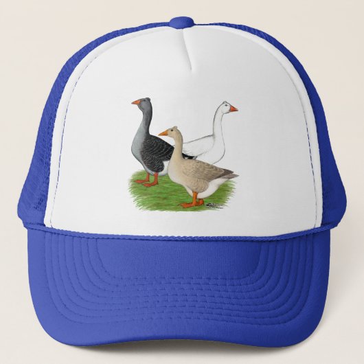 Ganzen: Tufted Trio Trucker Pet (Voorkant)