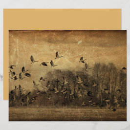 Ganzen Vintage Antiek Sepia Wilde Textuur