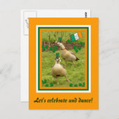 Ganzen voeren een beetje Ierse dansen uit Briefkaart (Voorkant / Achterkant)