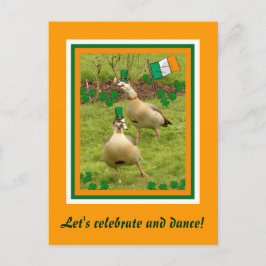 Ganzen voeren een beetje Ierse dansen uit Briefkaart