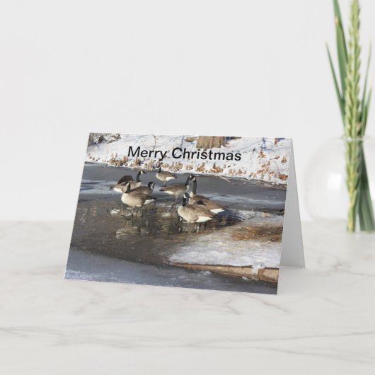 Ganzen wachten feestdagen kaart (Voorkant)