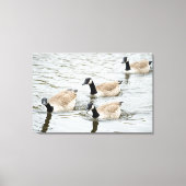 Ganzen zwemmen canvas afdruk (Voorkant)