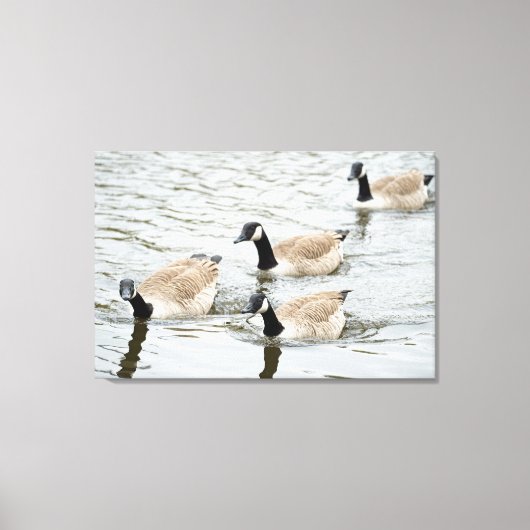 Ganzen zwemmen canvas afdruk (Voorkant)