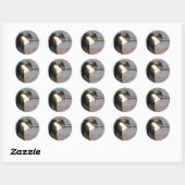 ganzenclose-up ronde sticker (Vel)