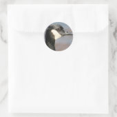 ganzenclose-up ronde sticker (Tas)