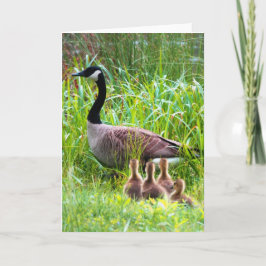 Ganzenkruising Kaart