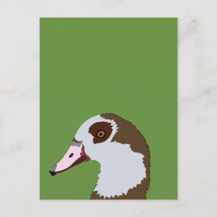 ganzenwatervogels briefkaart