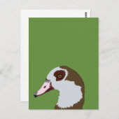 ganzenwatervogels briefkaart (Voorkant / Achterkant)