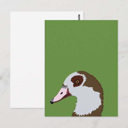ganzenwatervogels briefkaart (Voorkant / Achterkant)