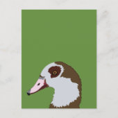 ganzenwatervogels briefkaart (Voorkant)