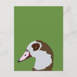 ganzenwatervogels briefkaart