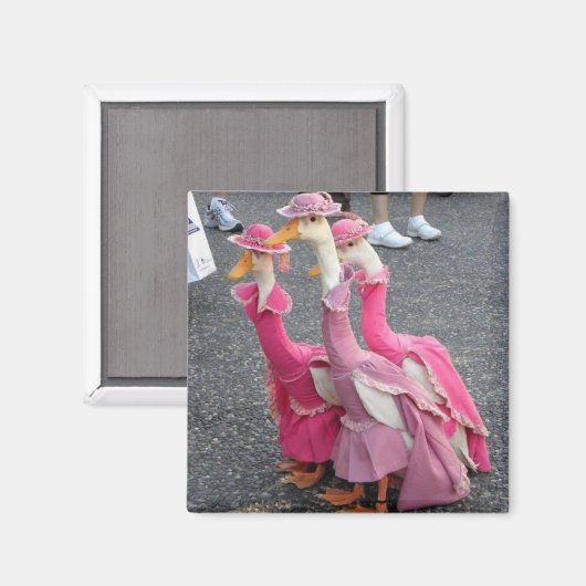 Ganzenzusters Magneet (Voorkant / Achterkant)