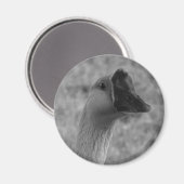 ganzgans magneet (Voorkant / Achterkant)